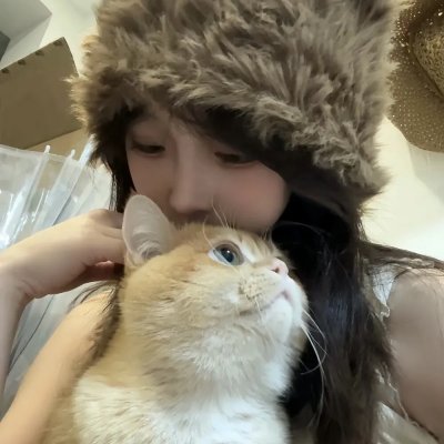 神秘博士第四季
