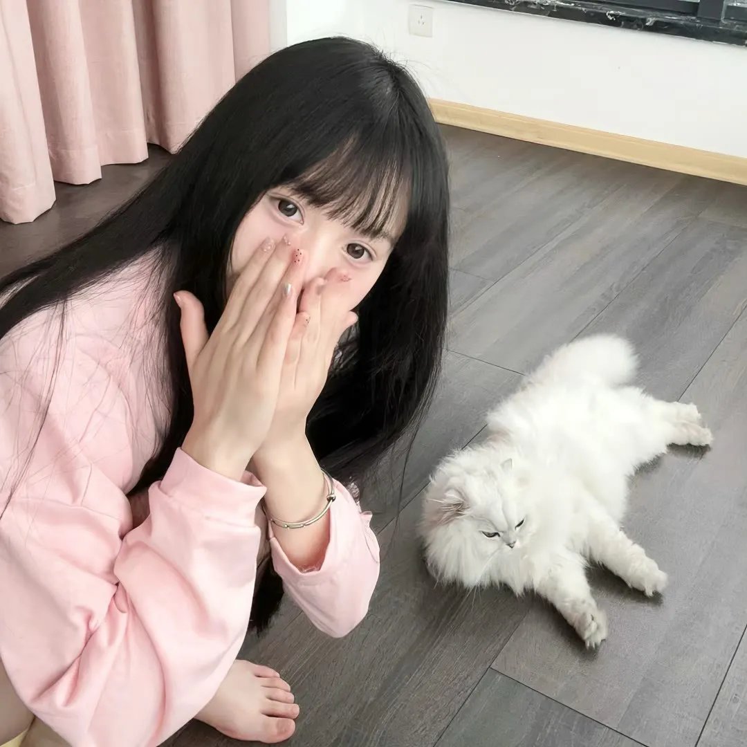仪弑
